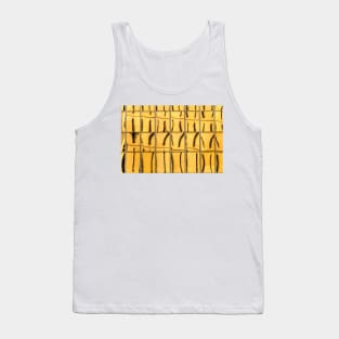 Reflecting Eagle 2 Tank Top